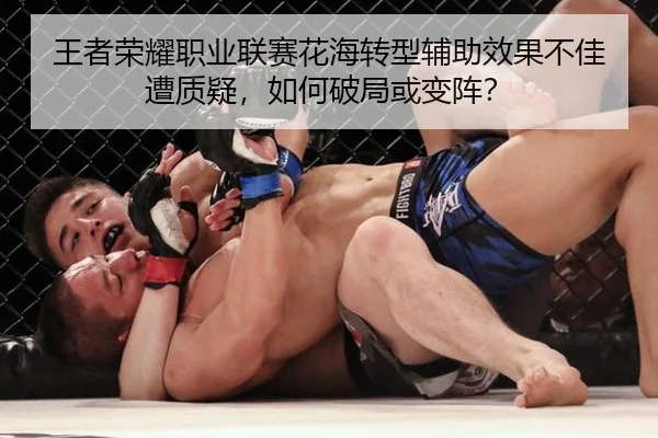 王者荣耀职业联赛花海转型辅助效果不佳遭质疑，如何破局或变阵？
