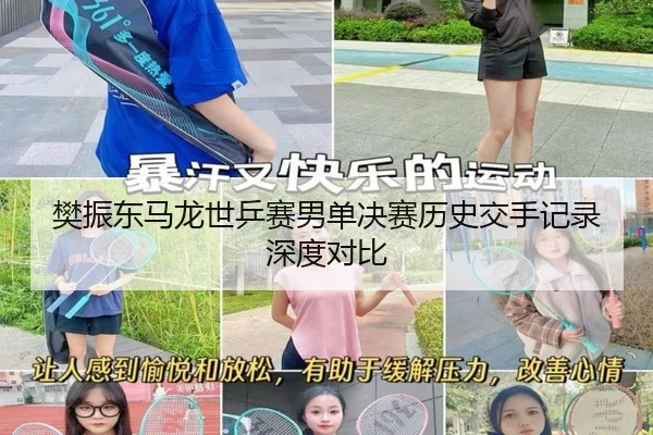 樊振东马龙世乒赛男单决赛历史交手记录深度对比